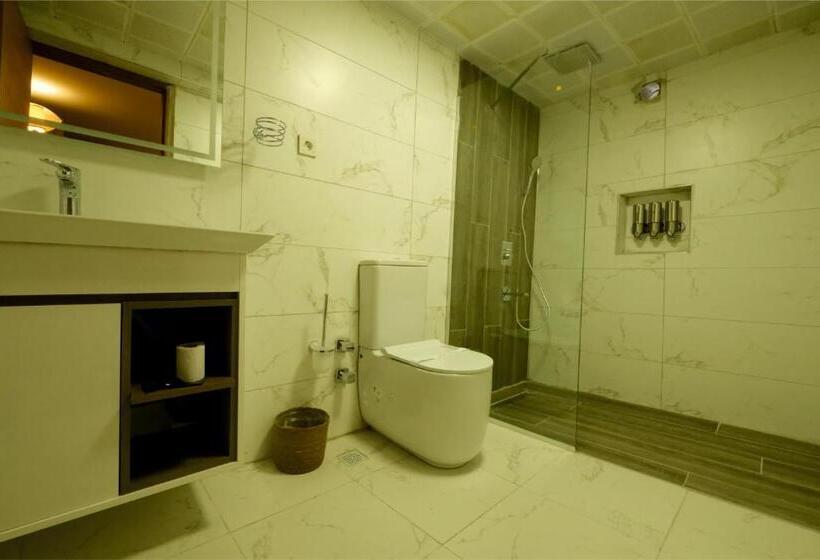 اتاق اکونومی, Varyant