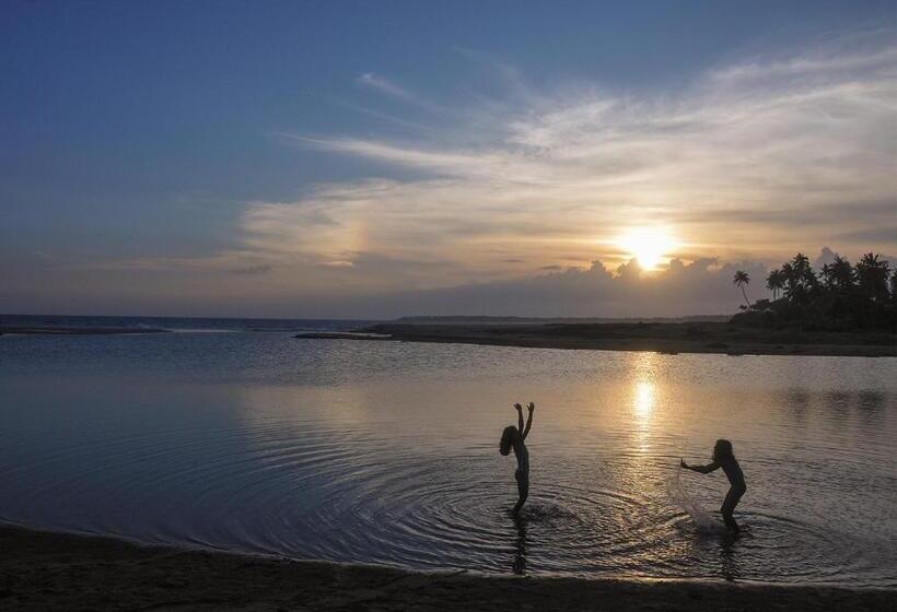 Хижина, Back Of Beyond   Wellness Retreat