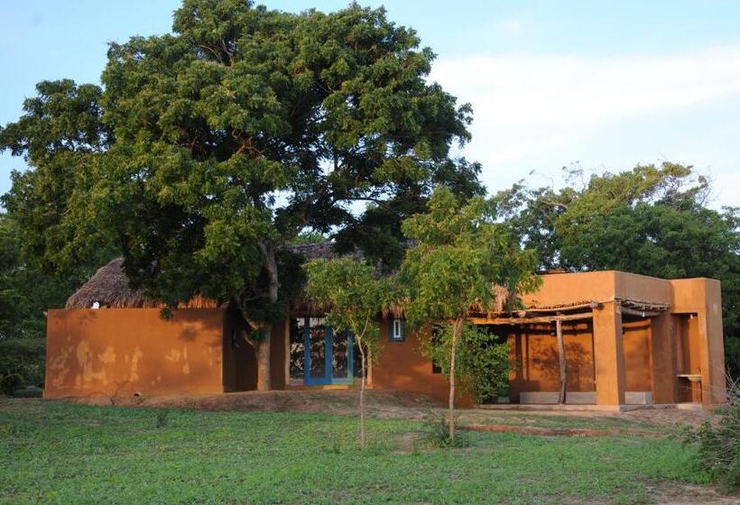 Хижина, Back Of Beyond   Wellness Retreat