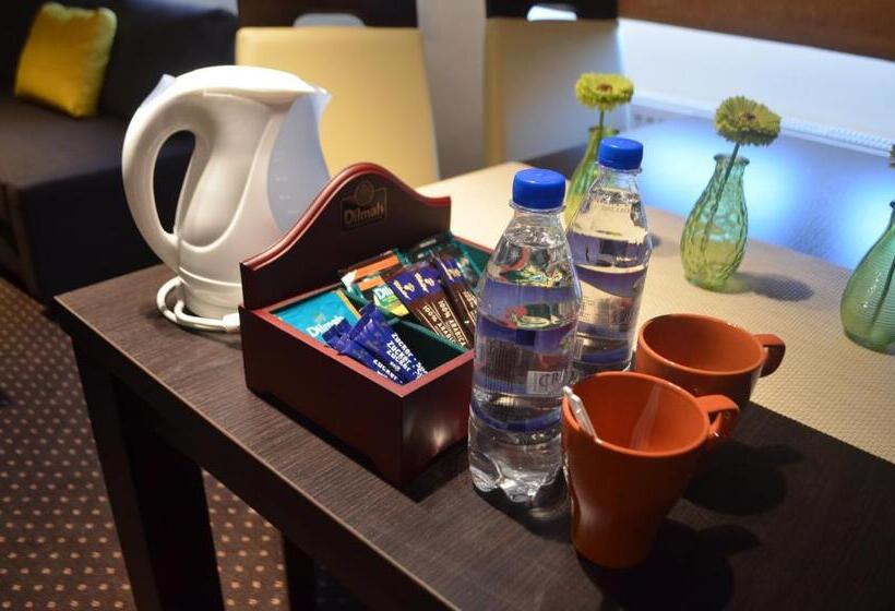 Апартаменты 1 Спальня, Boutique Hotel S Bytom
