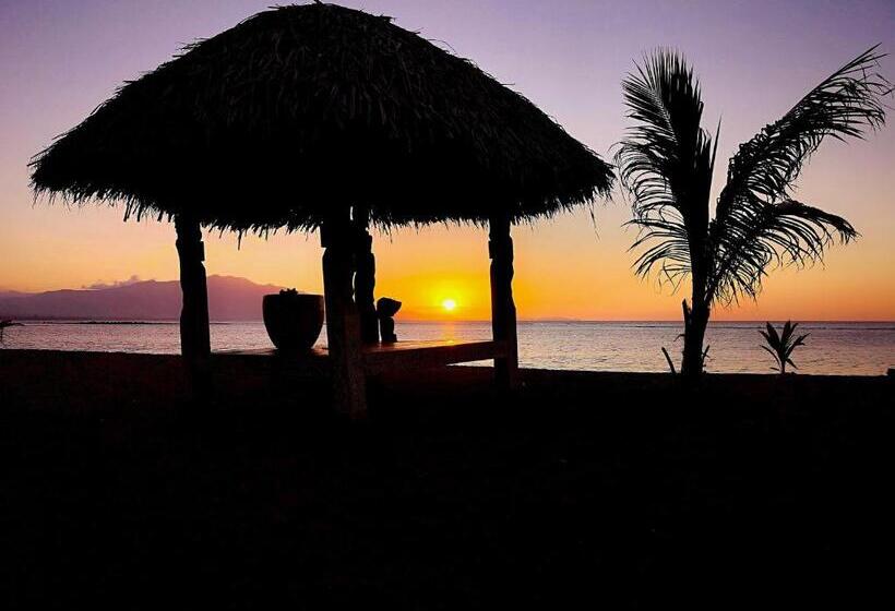 Семейное Бунгало, Coconut Garden Beach Resort