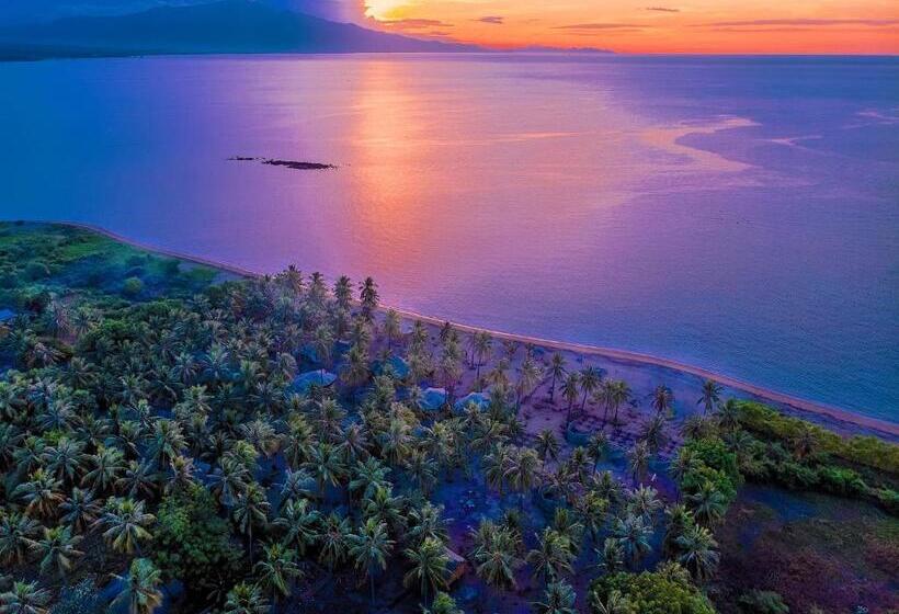 Семейное Бунгало, Coconut Garden Beach Resort