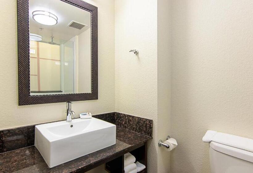 Номер Deluxe, Red Roof Inn Locust Grove