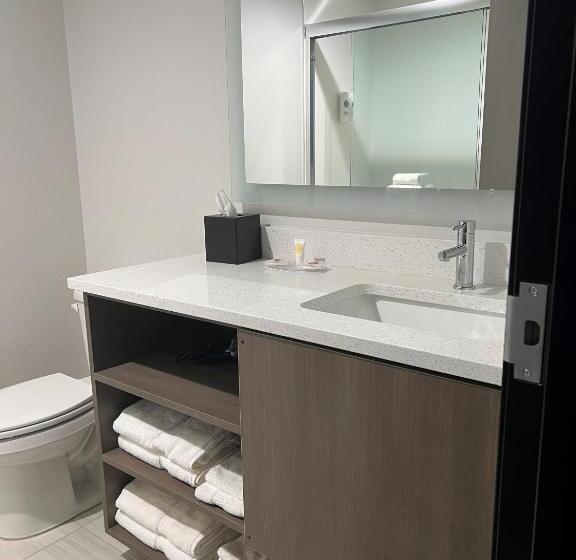 Номер Стандарт, Comfort Inn & Suites New Port Richey Downtown District