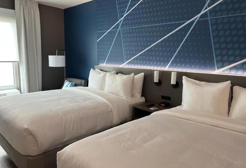 Номер Стандарт, Comfort Inn & Suites New Port Richey Downtown District