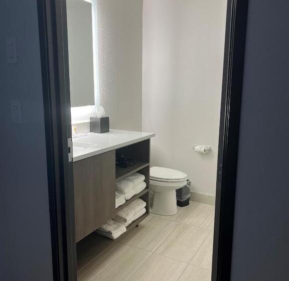 Люкс Адаптированный для Инвалидов, Comfort Inn & Suites New Port Richey Downtown District
