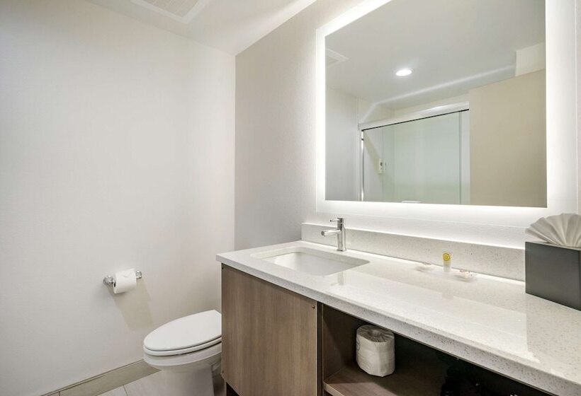Люкс Адаптированный для Инвалидов, Comfort Inn & Suites New Port Richey Downtown District