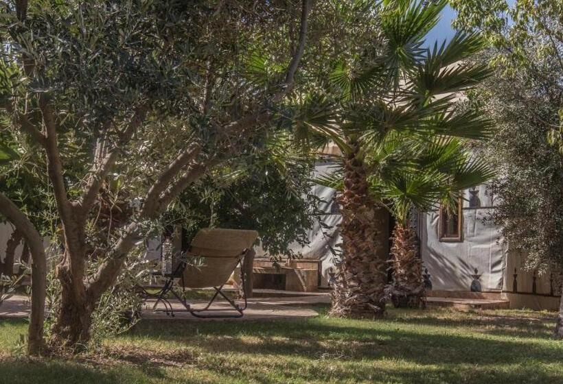 Deluxe Tent, Manzil La Tortue