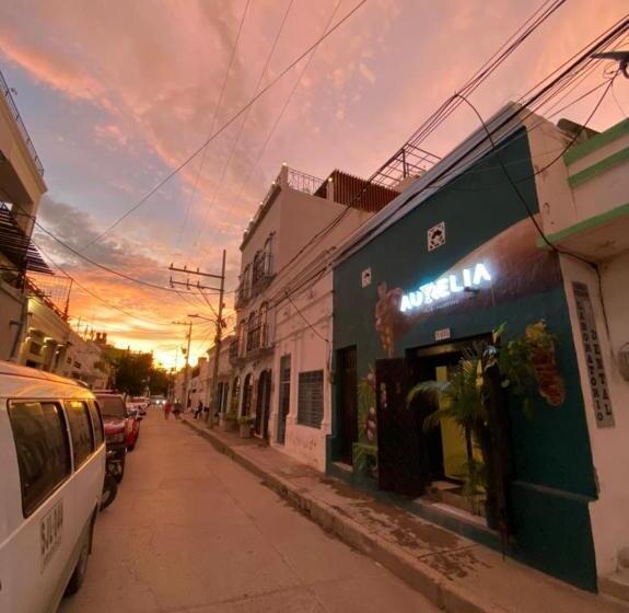 اتاق استاندارد چهار تخته, Aurelia Compartida Hospedaje