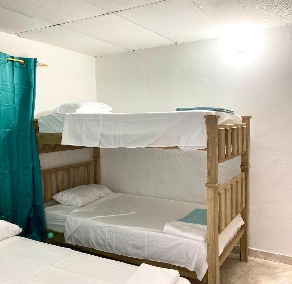 اتاق استاندارد چهار تخته, Aurelia Compartida Hospedaje