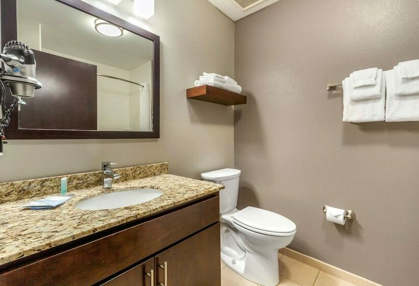 Люкс, Mainstay Suites Lincoln University Area