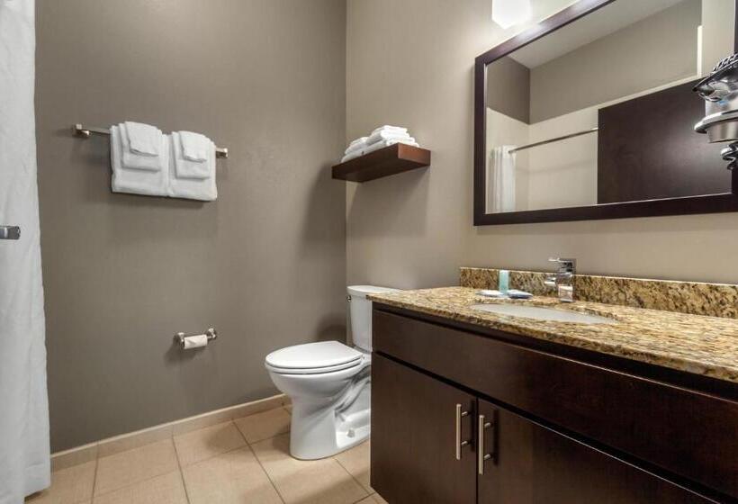 Люкс, Mainstay Suites Lincoln University Area