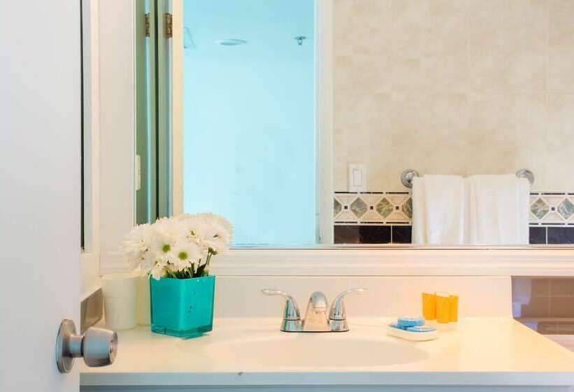 复式房间, New Point Miami Beach Apartments