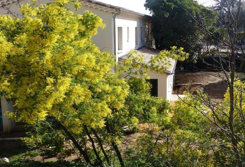 اتاق استاندارد با تراس, Clos De Beauregard