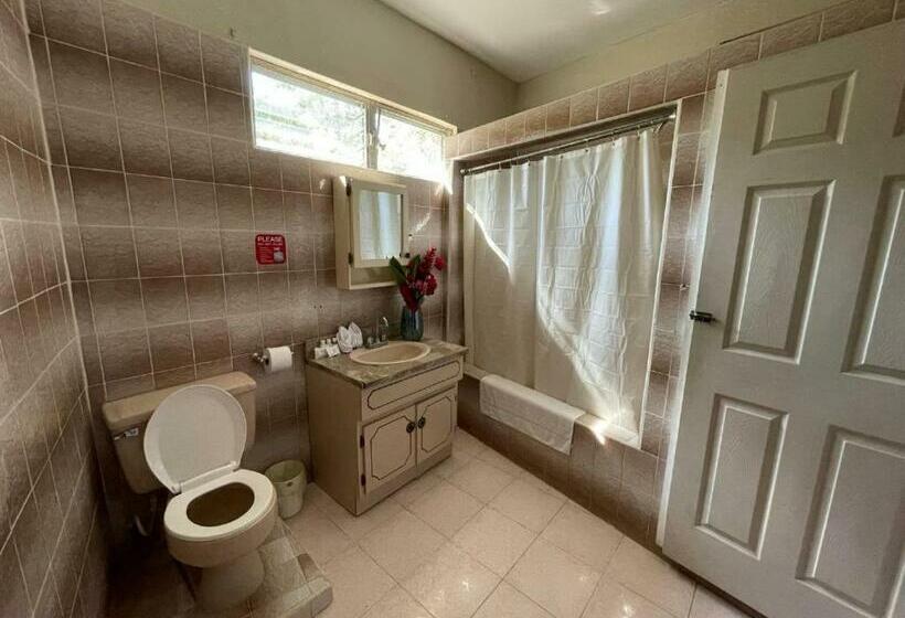 اتاق لوکس, Arnold S Guest House