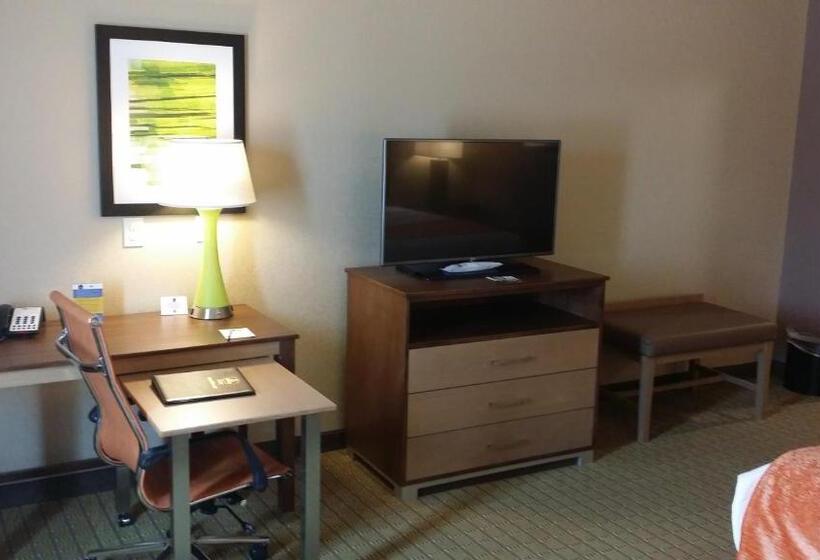 غرفة قياسية سرير كينج, Best Western Plus Flatonia Inn
