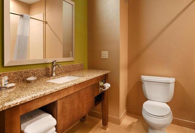 غرفة قياسية لذوى الاحتياجات الخاصة, Best Western Plus Flatonia Inn