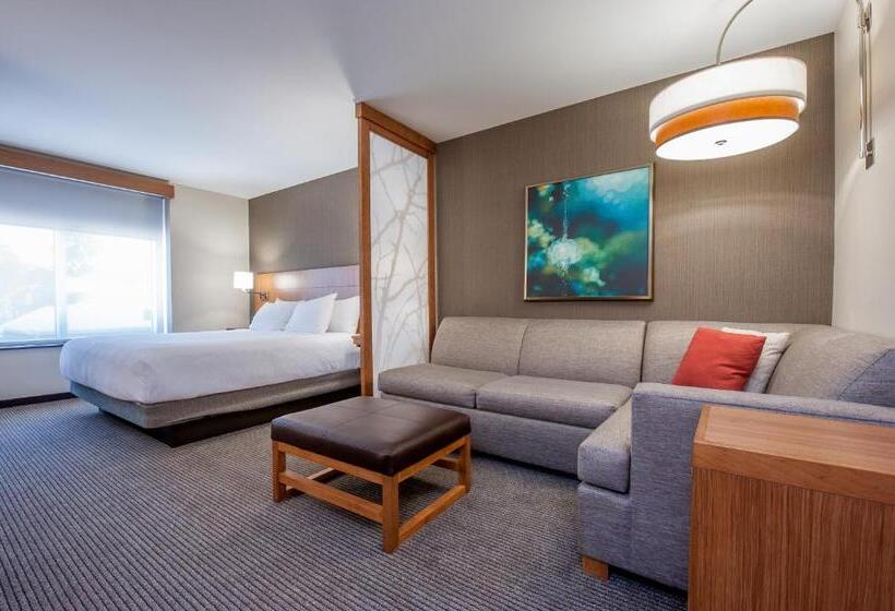 Стандартный Номер Кровать Кинг, Hyatt Place Bowling Green