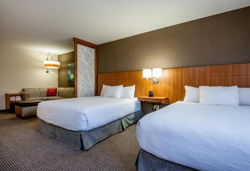 Номер Стандарт 2 Двуспальные Кровати, Hyatt Place Bowling Green
