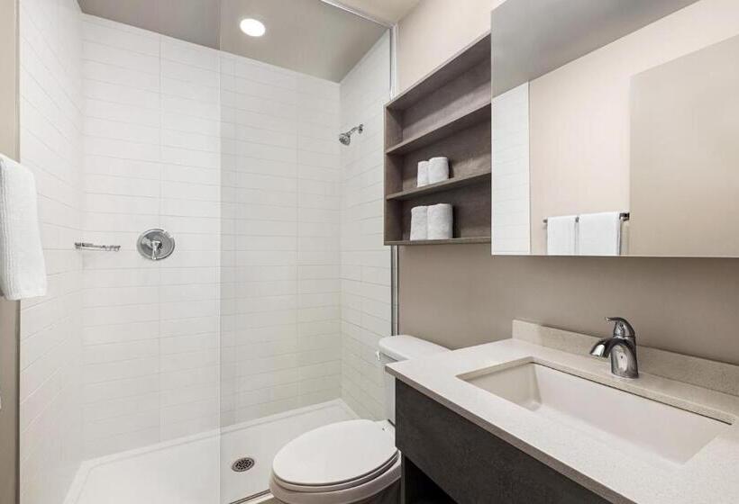 スタンダードルーム, Microtel Inn & Suites By Wyndham Boisbriand