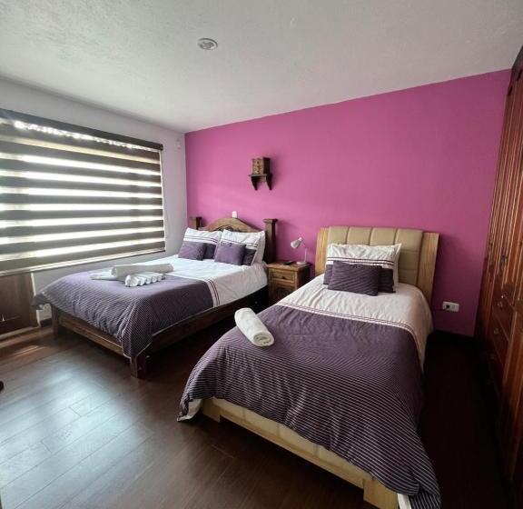 Номер Стандарт, La Casa De Las Flores Spa