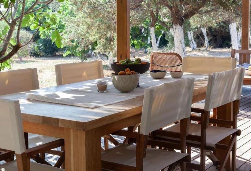 디럭스 룸, Zaya çeşme Hotel & Beach