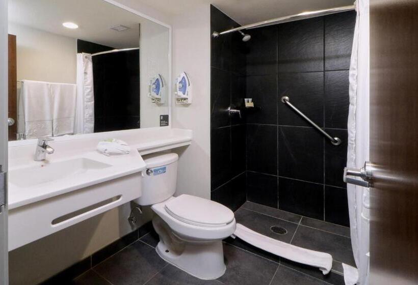 Номер Superior, City Express Plus By Marriott Monterrey Galerías
