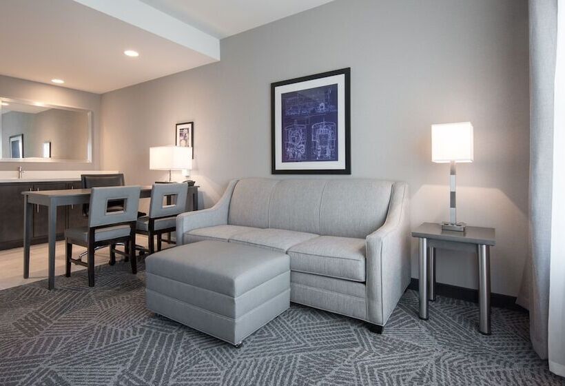 适合残疾人士使用的套间, Embassy Suites By Hilton Kansas City Olathe
