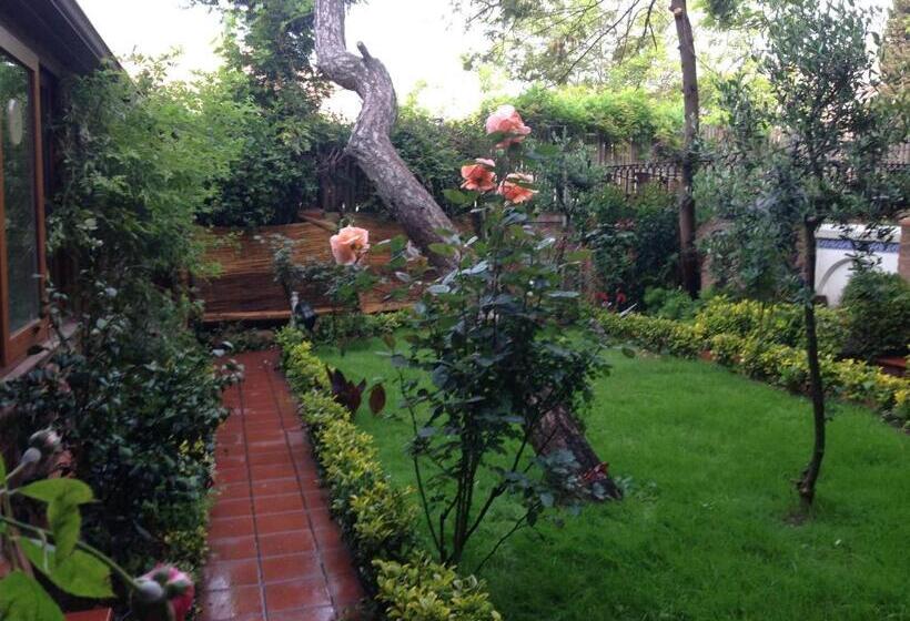 带1个卧室带花园景观的公寓, Olive Garden Suite
