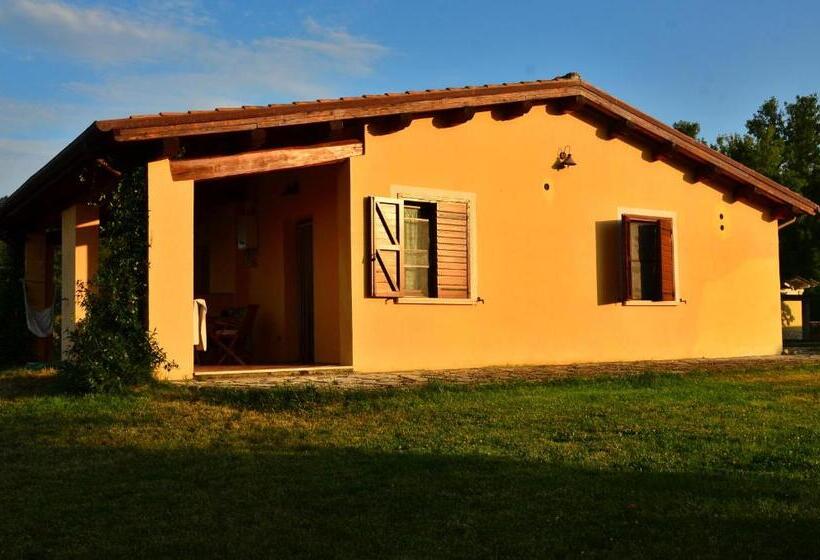 Студия Стандарт, Agriturismo Terre Di Musignano
