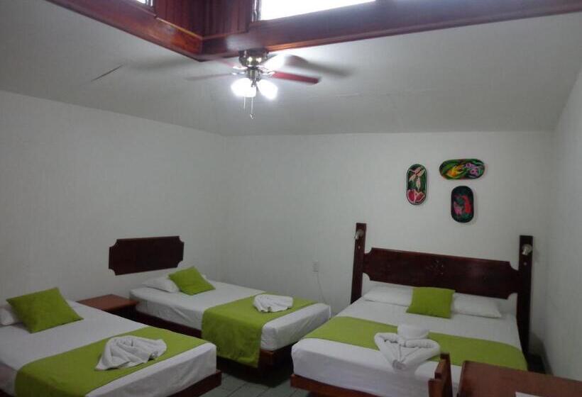 Четырехместный Номер Стандарт, Casa Del Mar