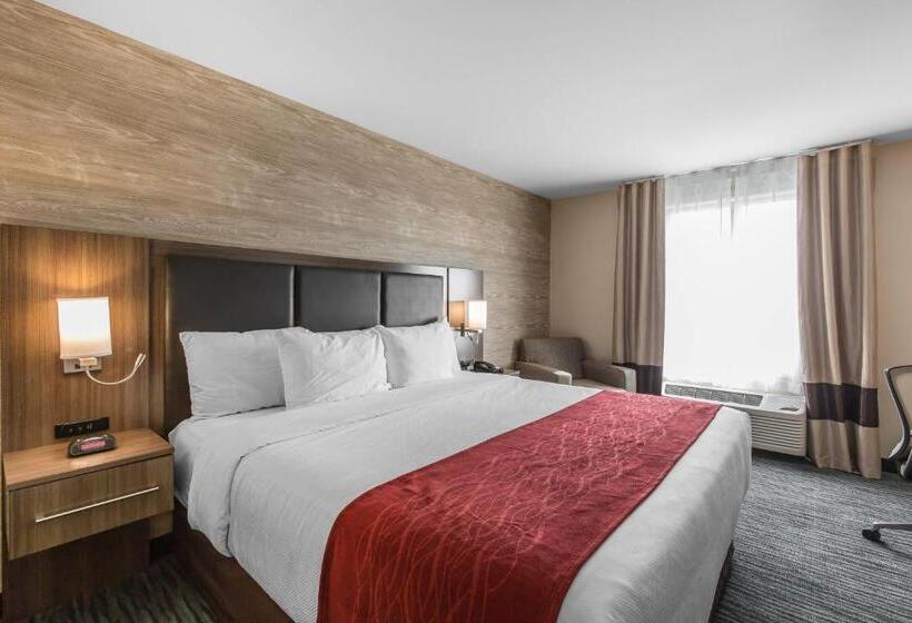 キングサイズベッドのスタンダードルーム, Comfort Inn & Suites Airport North