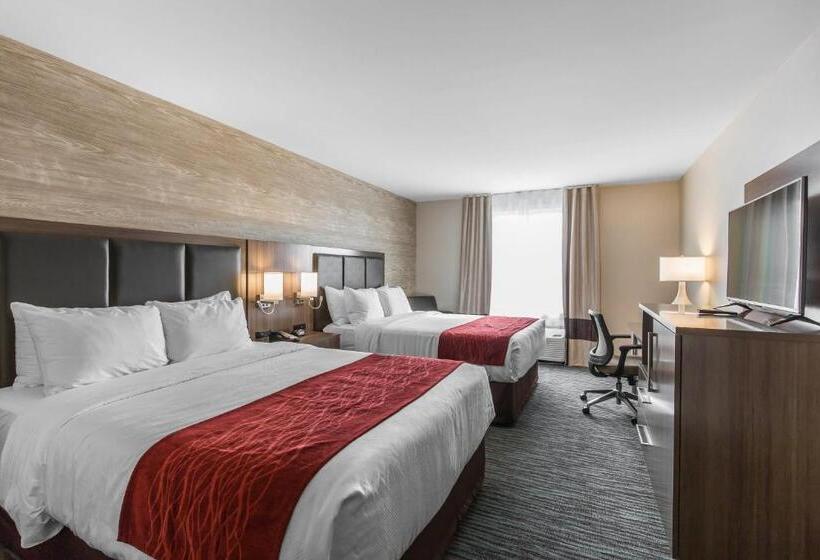 スタンダードルーム, Comfort Inn & Suites Airport North