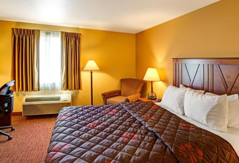 스탠다드 룸, Rodeway Inn & Suites