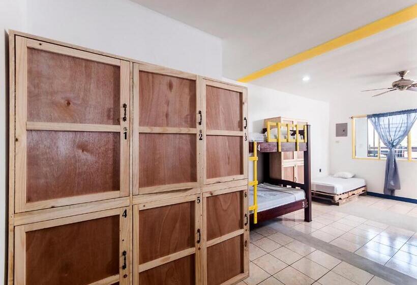 Кровать в Общей Комнате, La Hacienda Rooms & Food