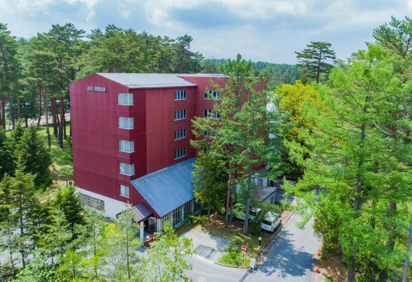 Семейный Номер, Fuji Premium Resort