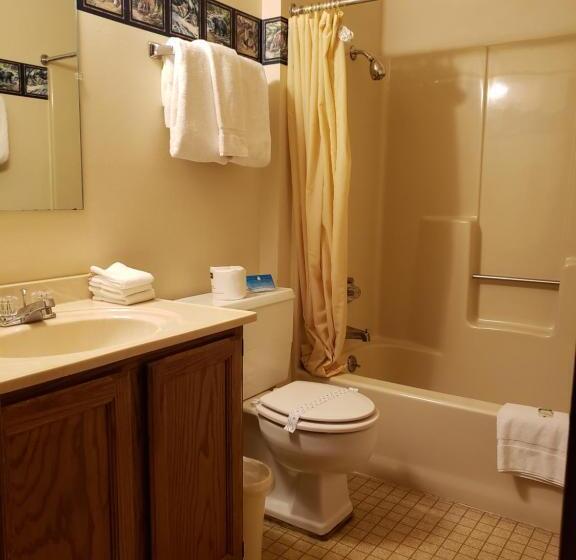 Апартаменты 1 Спальня, North Ironwood Acres   Black River Lodge