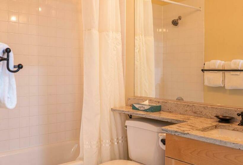 Апартаменты 1 Спальня, Long Trail House Condominiums At Stratton Mountain Resort