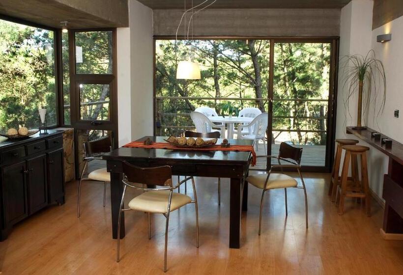 バルコニー付き１ベッドルームアパートメント, Village De Las Pampas Apart Hotel Boutique
