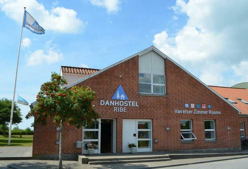Четырехместный Номер Стандарт, Danhostel Ribe