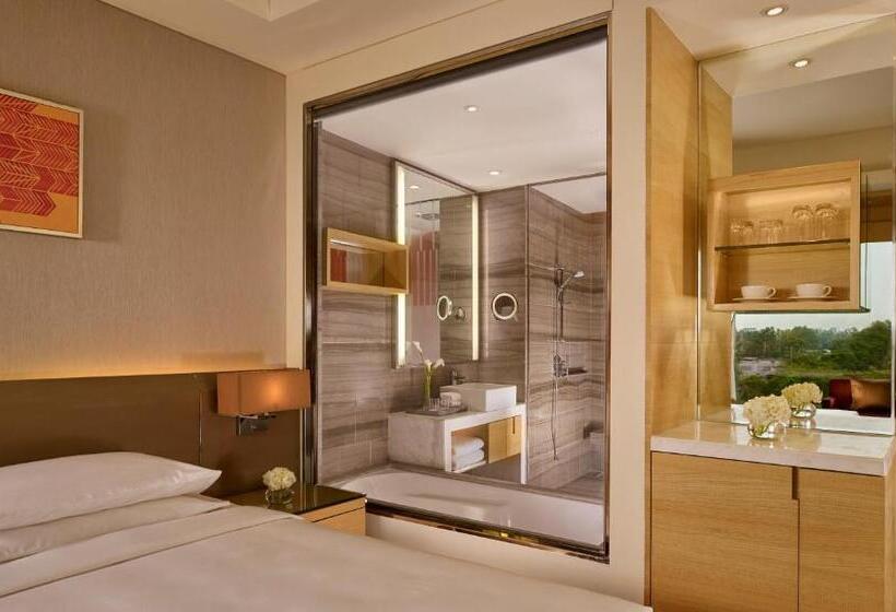 Стандартный Номер Кровать Кинг, Hyatt Regency Chandigarh
