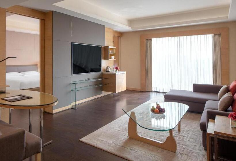 سوییت اجرایی, Hyatt Regency Chandigarh