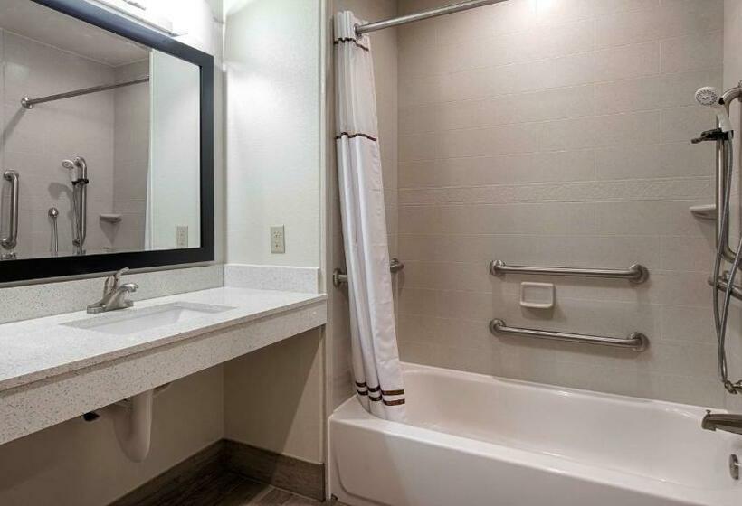 Номер Стандарт Адаптированный для Инвалидов, Best Western Plus Ardmore Inn & Suites
