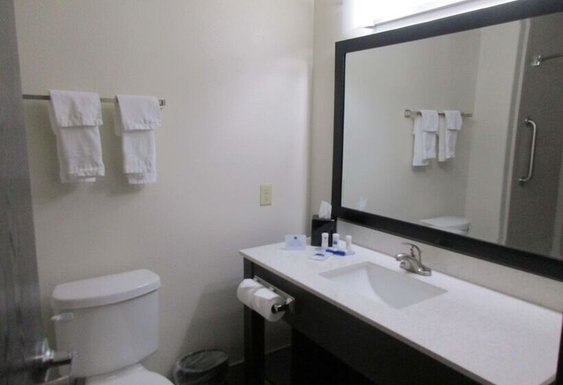 Номер Стандарт 2 Двуспальные Кровати, Best Western Plus Ardmore Inn & Suites