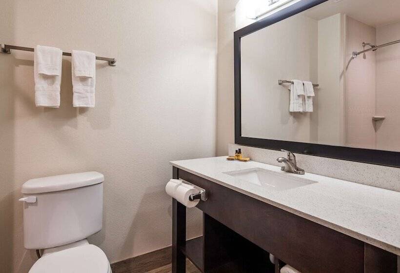 Люкс, Best Western Plus Ardmore Inn & Suites