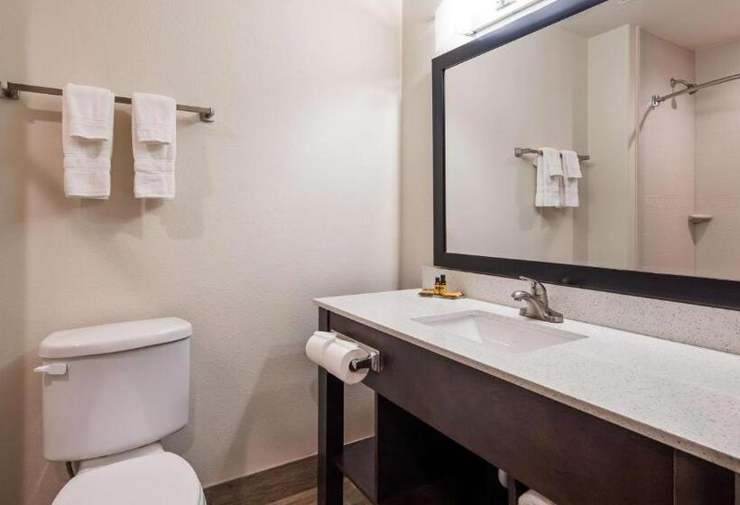 Номер Стандарт Адаптированный для Инвалидов, Best Western Plus Ardmore Inn & Suites