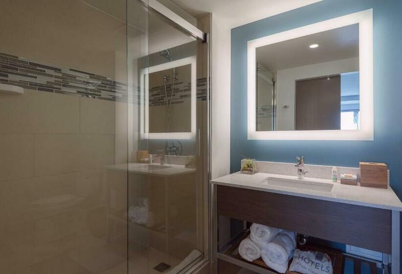 Люкс, Even Hotel Brooklyn, An Ihg
