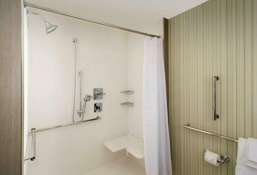 스탠다드 룸 킹사이즈 침대, Courtyard By Marriott Atlanta Ne/duluth Sugarloaf