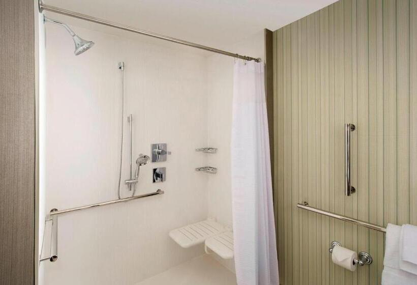장애인을 위한 킹사이즈 침대 스탠다드 룸, Courtyard By Marriott Atlanta Ne/duluth Sugarloaf