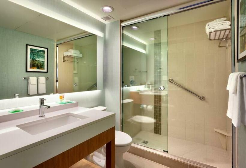 Стандартный Номер Кровать Кинг, Hyatt Place Salt Lake City Farmington Station Park